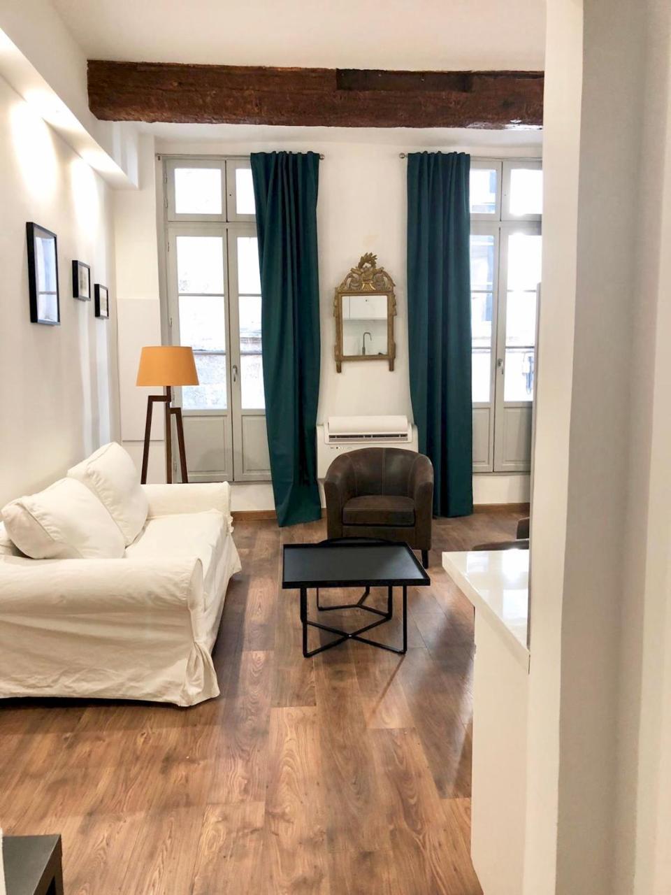 Apartment Le Musee Fabre, De Charme , Parking Gratuit